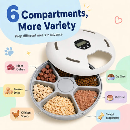 6-Meal Timed Automatic Cat Feeder - Indoor Detachable Rotating Wet & Dry Food Dispenser with Ice Packs, AA Battery Powered for Kittens/Pups, Small Dogs, White